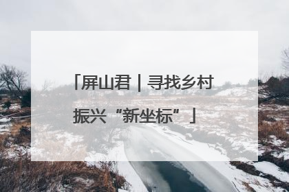 屏山君｜寻找乡村振兴“新坐标”
