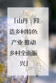 山丹：打造乡村特色产业 推动乡村全面振兴