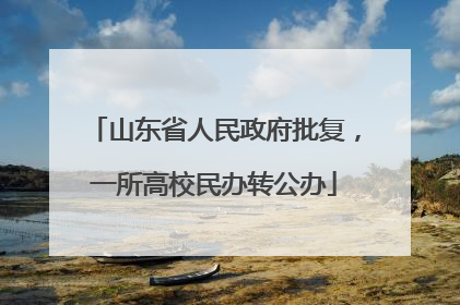 山东省人民政府批复，一所高校民办转公办