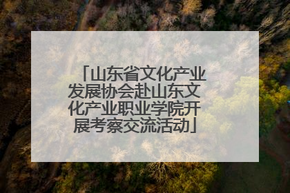 山东省文化产业发展协会赴山东文化产业职业学院开展考察交流活动