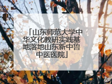 山东师范大学中华文化教研实践基地落地山东新中鲁中医医院