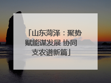 山东菏泽：聚势赋能谋发展 协同支农谱新篇