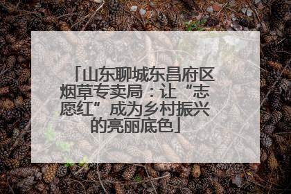 山东聊城东昌府区烟草专卖局：让“志愿红”成为乡村振兴的亮丽底色
