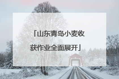 山东青岛小麦收获作业全面展开