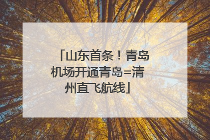 山东首条！青岛机场开通青岛=清州直飞航线