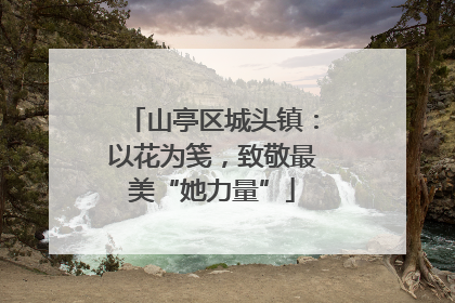 山亭区城头镇：以花为笺，致敬最美“她力量”