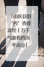 山区县的“药”香致富经丨万千气象看四川·平武③