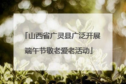 山西省广灵县广泛开展端午节敬老爱老活动