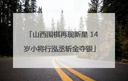 山西围棋再现新星 14岁小将行泓丞斩金夺银
