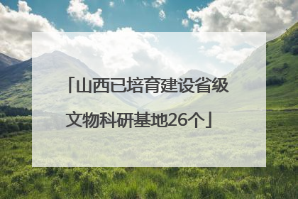 山西已培育建设省级文物科研基地26个
