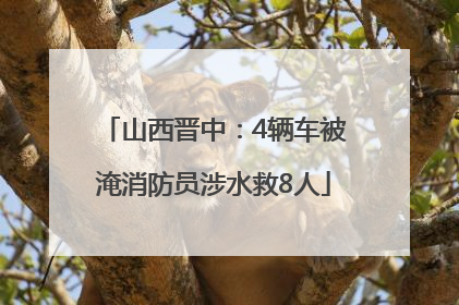 山西晋中：4辆车被淹消防员涉水救8人