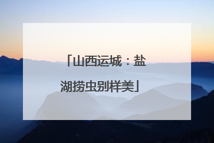 山西运城：盐湖捞虫别样美