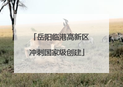 岳阳临港高新区冲刺国家级创建