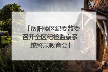 岳阳楼区纪委监委召开全区纪检监察系统警示教育会