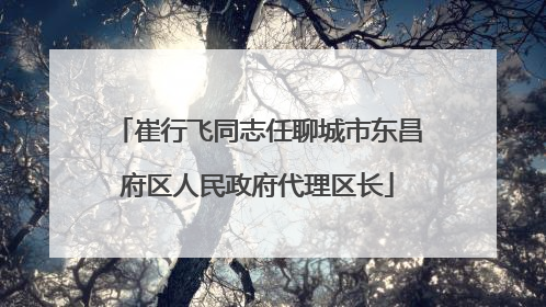 崔行飞同志任聊城市东昌府区人民政府代理区长