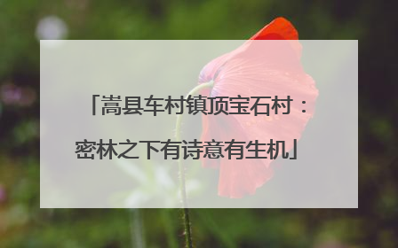 嵩县车村镇顶宝石村：密林之下有诗意有生机