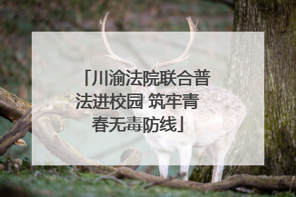 川渝法院联合普法进校园 筑牢青春无毒防线