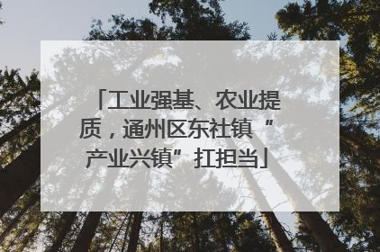 工业强基、农业提质，通州区东社镇“产业兴镇”扛担当