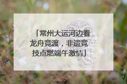 常州大运河边看龙舟竞渡，非遗竞技点燃端午激情