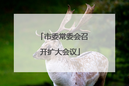 市委常委会召开扩大会议