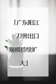 广东阳江：刀剪出口规模持续扩大