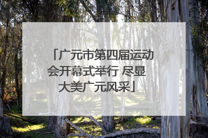 广元市第四届运动会开幕式举行 尽显大美广元风采