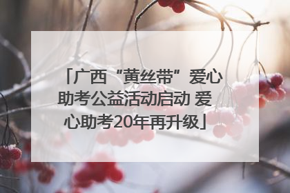 广西“黄丝带”爱心助考公益活动启动 爱心助考20年再升级