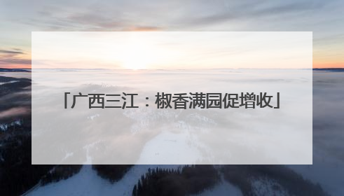 广西三江：椒香满园促增收