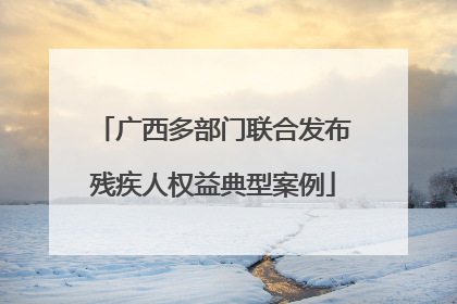 广西多部门联合发布残疾人权益典型案例