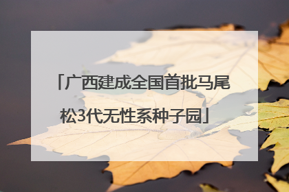 广西建成全国首批马尾松3代无性系种子园