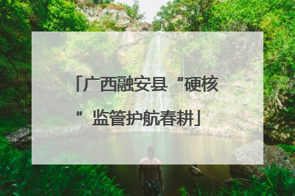 广西融安县“硬核”监管护航春耕