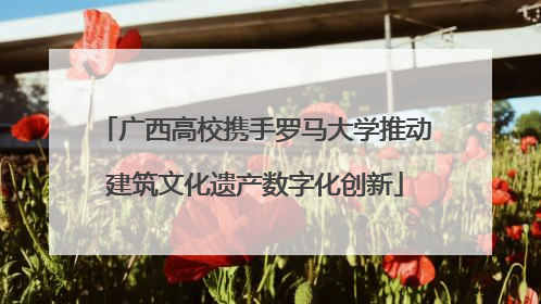 广西高校携手罗马大学推动建筑文化遗产数字化创新