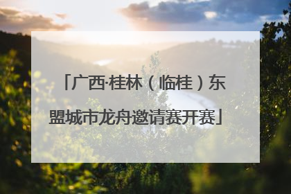 广西·桂林（临桂）东盟城市龙舟邀请赛开赛