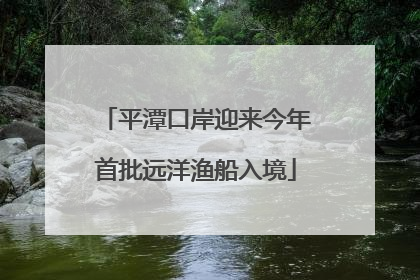 平潭口岸迎来今年首批远洋渔船入境