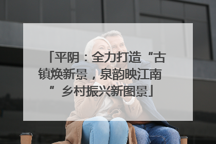 平阴：全力打造“古镇焕新景，泉韵映江南”乡村振兴新图景