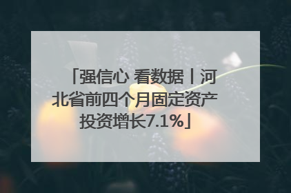 强信心 看数据丨河北省前四个月固定资产投资增长7.1%