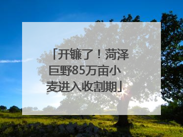 开镰了！菏泽巨野85万亩小麦进入收割期
