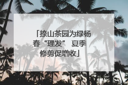 捺山茶园为绿杨春“理发” 夏季修剪促增收