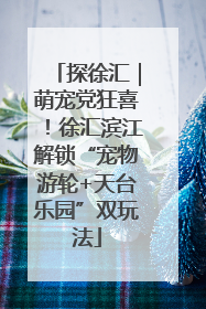 探徐汇｜萌宠党狂喜！徐汇滨江解锁“宠物游轮+天台乐园”双玩法