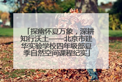 探幽怀夏万象，深耕知行沃土——北京市建华实验学校四年级部夏季自然空间课程纪实