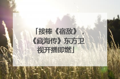 接棒《宿敌》，《藏海传》东方卫视开播即燃