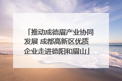 推动成德眉产业协同发展 成都高新区优质企业走进德阳和眉山