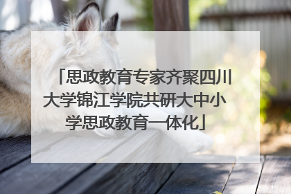 思政教育专家齐聚四川大学锦江学院共研大中小学思政教育一体化