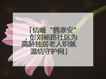 情暖“鹤耋安”，彭刘杨路社区为高龄独居老人织就温情守护网