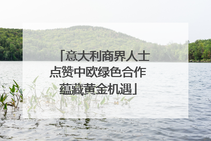 意大利商界人士点赞中欧绿色合作蕴藏黄金机遇