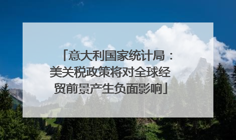 意大利国家统计局：美关税政策将对全球经贸前景产生负面影响
