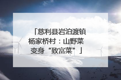 慈利县岩泊渡镇杨家桥村：山野菜变身“致富菜”