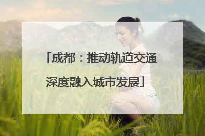 成都：推动轨道交通深度融入城市发展