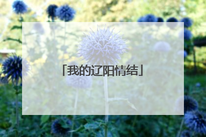 我的辽阳情结
