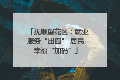 抚顺望花区：就业服务“出圈” 居民幸福“加码”